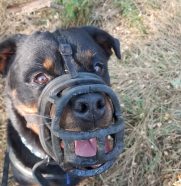 273761449_497181605206847_1199826207755734278_n