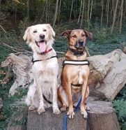 !cid_17e9d07a54e207cf5f04